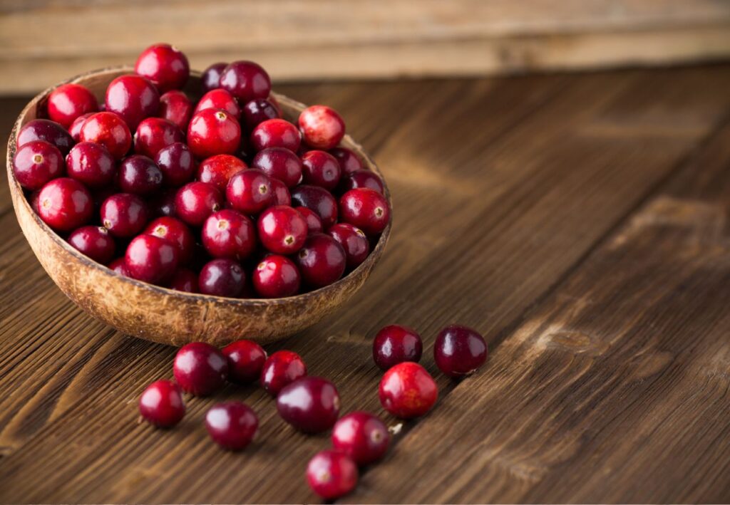 Bienfaits de la canneberge : santé, énergie et saveur